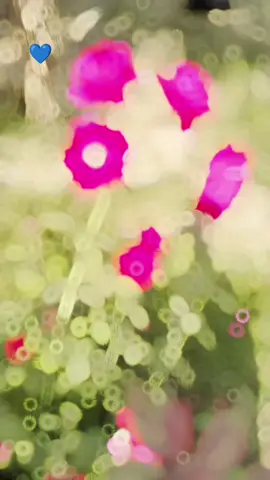 #💙💙  #vypシ✌️❤️foroyu❤️❤️🥀💯💯💯fyp  #views #problems  #solve 