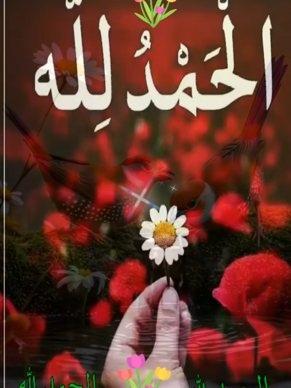 #oops_alhamdulelah #oops_alhamdulelah #يارب #🙏🙏🙏 