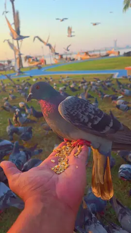 #قطر_الدوحة🇶🇦 #إن_أحسنتم_أحسنتم_لأنفسكم 