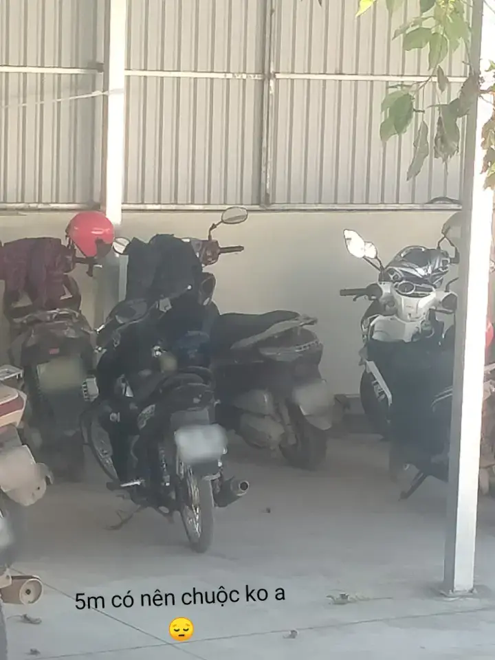 c an làm căng quá ✈️#xuhomg #buon