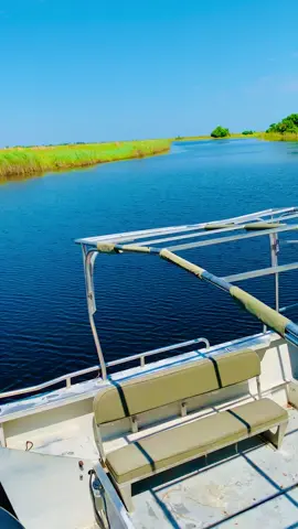 How I love being home✨🏝️❤️#Seronga 