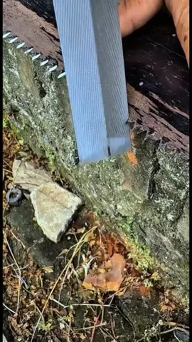 Kikir Gergaji Kayu Baja Kuat #kikir #kikirgergaji #kikirgergajikayu #kikirgergajihandlenyaman #kikirgergajiflexible 