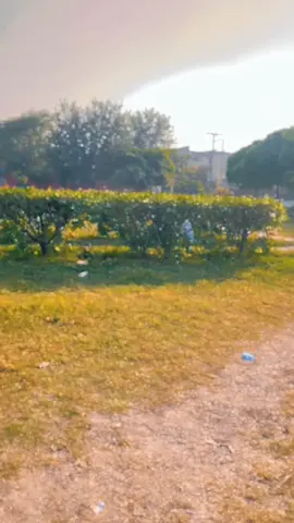 🔥🖤@ITs Me Gull ZaiB👑🌸 #growmyaccount #trendingvideo #trendingsong #trending #unfreezemyacount 