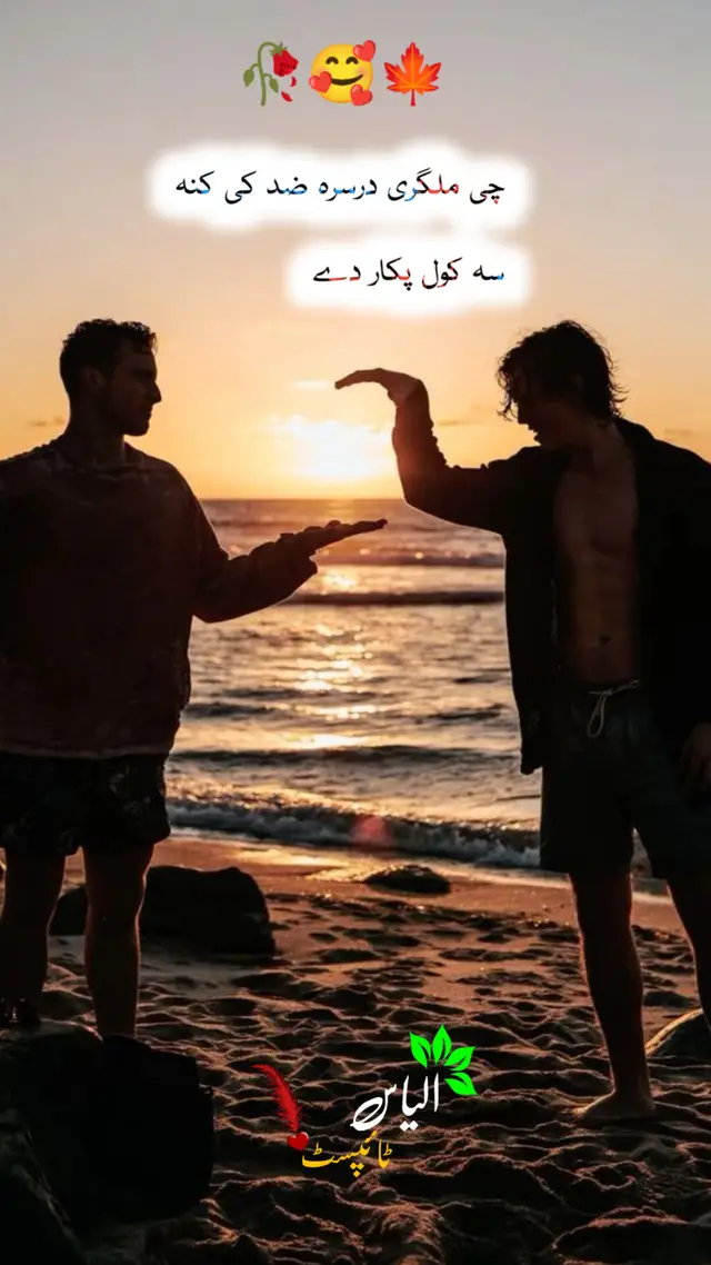 # حپل حوگ ملکری پکی میشن کڑی #pashtosong #pashtotiktok #pashtopoetry #pashtoshiry #tiktokpakistanofficial 