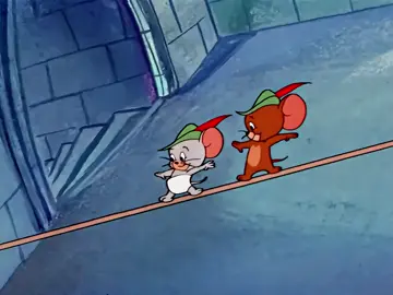 #tom #jerry #tomandjerry #jerryandtom#warnerbros   