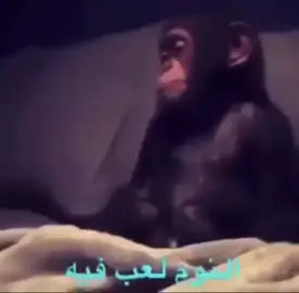 #دوام #مدرسة #ميمز #ستوريات_انستا #الشعب_الصيني_ماله_حل😂😂 