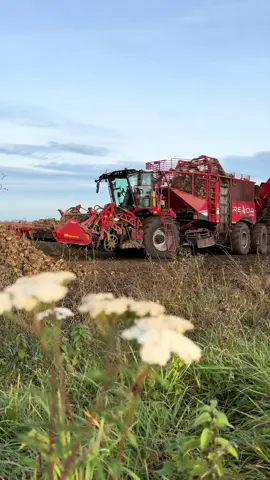 Beat Harvest in Germany!