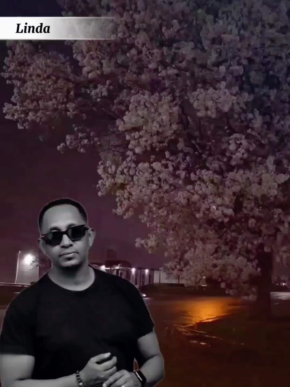 ብዙአየሁ ደምሴ ሰሞኑን 🎶❤ #ብዙአየሁደምሴ #bizuayew_demisse #lindafhameyosti1 #ethiopian_tik_tok #ethiopianmusic #foryou #viral #viral_video #videoviral #habeshatiktok #habeshamusic #amharicmusic #fyp #fypシ゚ #fypシ゚viral🖤tiktok #dute #soundviral #answer #fypp #videoviral #ethiopian_tik_tok🇪🇹🇪🇹🇪🇹🇪🇹 