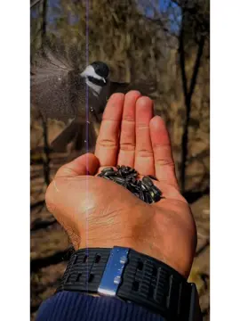 Jumma Mubarak ❤️‍🩹🥰👀 #jummamubarakstatus #jummamubarak #foru #islamic_media #unfreezemyaccount 