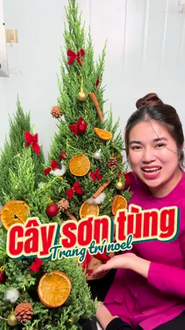 Không khí noel ùa về mấy chị còn chờ gì mà không săn ngay em nó về nhà mình nè #huyenlinhgarden #vuacaygionghuyenlinh #noel #caysontung 