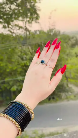 #বাড়ির_পাশে_কদম_গাছে_বসে_কত_টিয়া#fypシ #fypシviral #foryou #foryoupage 