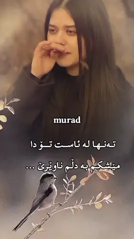 #هاشتاق #ئەکتیڤبن🥀🖤ـہہـ٨ــہ 