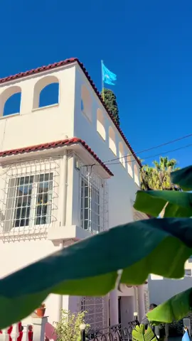 Madaxweynaha Soomaaliya oo kormeer shaqo ku tagay Safaaradeenna Aljeeriya ku taala.#alidualle #MUQDISHO #tiktoksomalia🇸🇴 #VillaSomalia #my252🇸🇴 