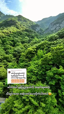 Replying to @userahphyo7 #ကျိုက်ထီးရိုးဘုရာမင်းနဲ့အတူဖူးချင်တယ် #မွန်ပြည်နယ် #KoZawဥယျာဥ်မှူးလေး😊 #မူရင်းကိုcrdပေးပါတယ် #အားပေးသူတိုင်းကိုကျေးဇူးတင်ပါတယ်😘😘😘 