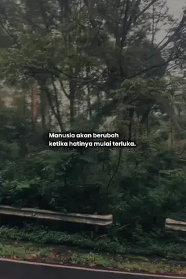 🍂•✨ #terluka #fyp #ungkapanhati #trendingvideo 