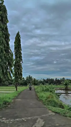 apik elek motore dewe kudu di syukur i, 🙏🙏 #CapCut #vixion_modifikasi #fyp #xybca #vixi_max 