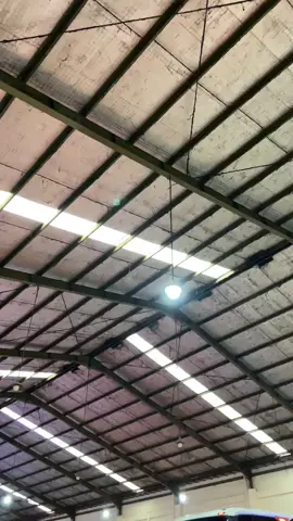 Masih Hangat dari pabrik  #rosaliaindahtransport #drivermuda #rosaliaindah #rosin #sultanpalur 