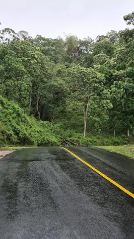 hujan dengan kenangannya🌸 #jalurbahagia  #fyp  #manggaraitimur  #nttpride🏝🔥 