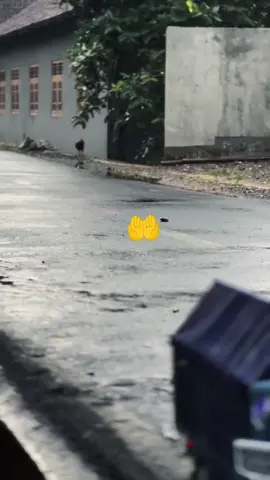 bismillah 🤲,sedang di usahakan@nemahminiaturofficial @adi_putro_miniatur @radenmasndyy @berkahminiaturofficial_ @umakalodiayass_ #miniaturindonesia🇲🇨 #cantermaniaindonesia #miniaturtruk #masukberandafyp #fyp 