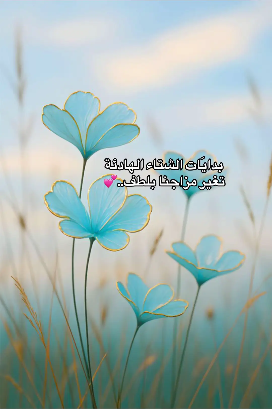 #خواطر #اكسبلور 