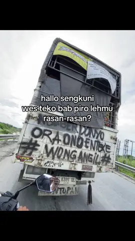 🥴🥴#divermuda #foryoupage #katakatatrukmania #sopirseeezzz #calondivermuda 