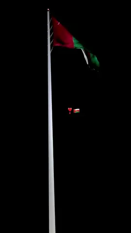 ❣️🇴🇲 #العيد_الوطني_العماني #🇴🇲 #نوفمبر_المجيد #نوفمبر #❣️ #4u #ex #oman 