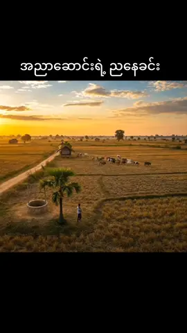 နေညိုညို😘😘#အပေါင်းလေးနှိပ်😁အသဲလေးပေးသွားနော်😍😍 #foryoupage #fyp #typ #tranding 