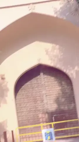 @Anaya🫰🏻♥️   #foryoupage #viral_vide #viral  #foryoupage❤️❤️ 