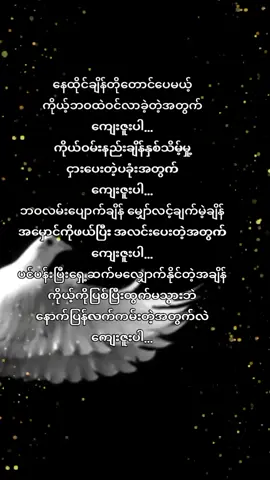 #creatorsearchinsights  #contentcreator  #foryourpage  #200kviewers🔥  #fyppppppppppppppppppppppp 