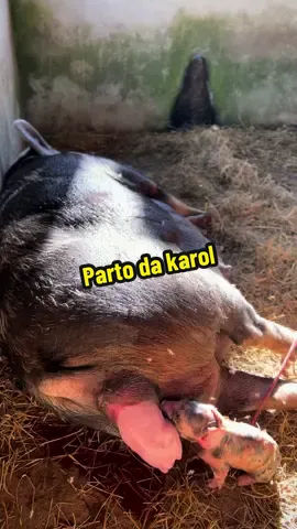 Tbt do parto da Karol ❤️