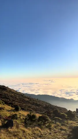 #fypage #masukberanda #pendakigunung #pendakiindonesia #bawakaraeng2830mdpl 