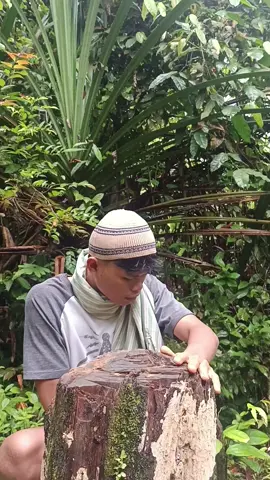 guru mode apa ni 😭 #komedian #komedisunda #komeditiktok #komediviral #komedi