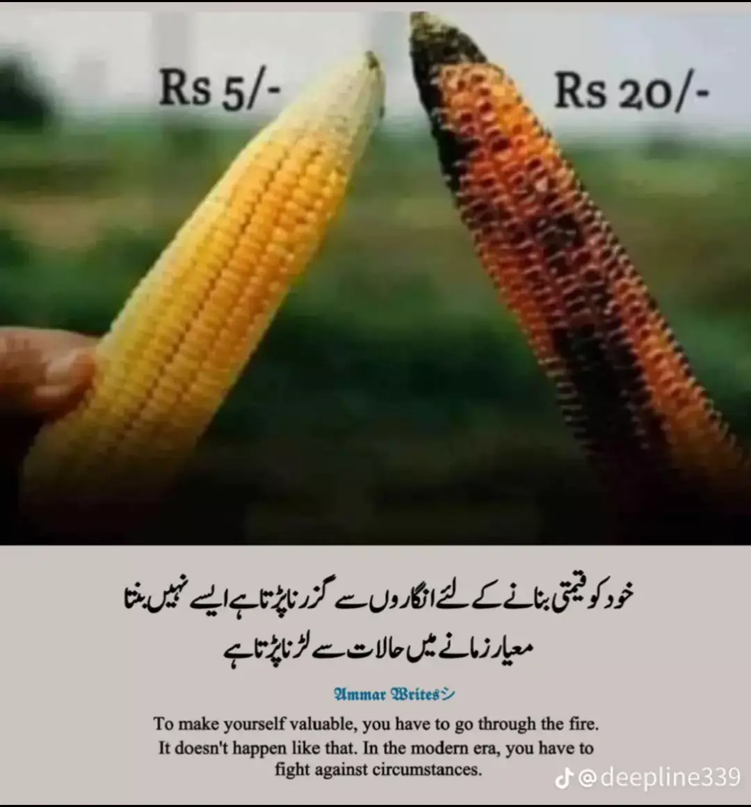 my 4th video 📷#MuhammadRizwan😎  inshallah ek din main b 20 hounga 