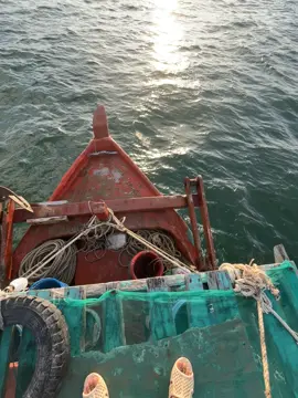 来，最痛的不是失去，而是眼睁睁看着你幸福地牵着别人的手