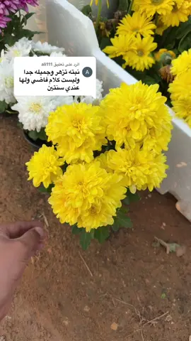 الرد على @ali111 