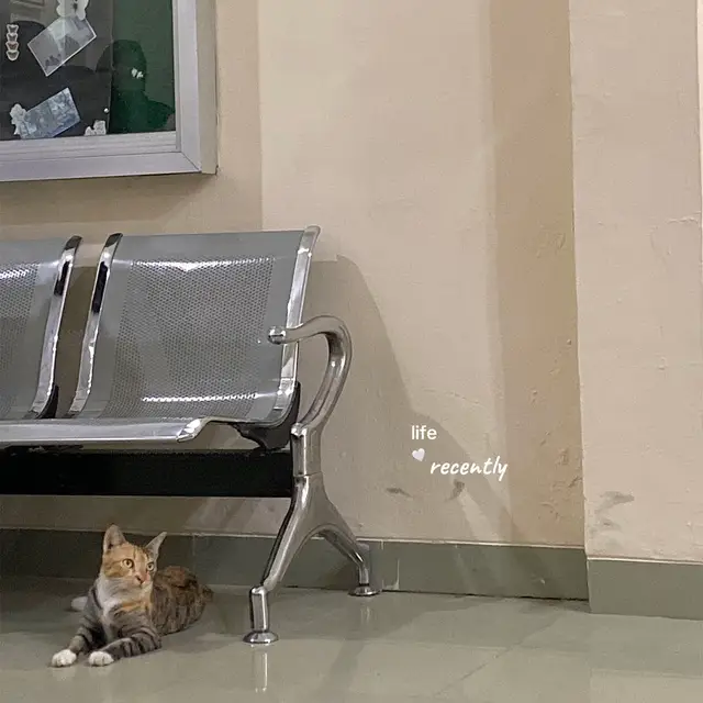 love life🩰🕯️ #allahummabarik #dump #college 