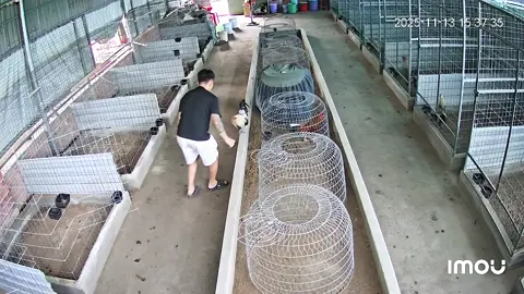 Ai ham mỹ nhập chứ em giờ em sợ quá rồi 😂 #dungbivt #tiktok #trending #dungbigf #toiyeudongvat❤ 