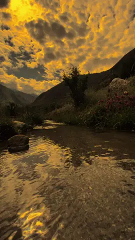 ‏ جن لوگوں سے ہمیں بہت محبّت ہو نا۔۔۔! ان سے کبھی نفرت نہیں ھو سکتی...   پتہ ہے کیوں؟؟؟  جب یہ بہت عزیز لوگ دھوکہ دیتے ہیں۔   تو پھر یہ دل سے نکل جاتے ہیں اور یوں نکلتے ہیں کہ دل انکے لئے کوئی بهی جذبہ رکھنا پسند نہیں کرتا ۔۔۔۔  محبّت ، نفرت ، عزّت ، احترام کچھ بھی نہیں...!!!!🖤