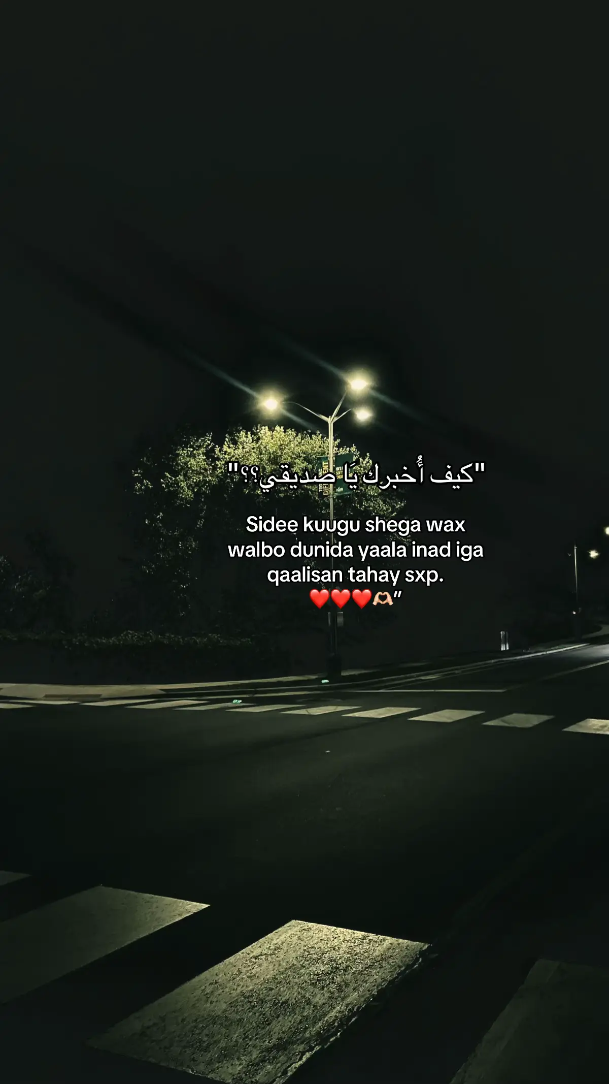 @Mention#hadraawi #@ꨄ︎ #copylink #foryoupage 