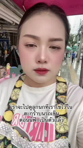 ไปดูลูกนกกัน