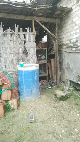 fyp#fypシ゚viral delima alaki puliiiii