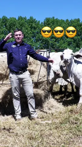 If you can’t keep your prize, or if you don’t want it, @AAM Livestock Agents will be able to sell your animal and you’ll get the prize in your pocket 💸 Choose a livestock course that rewards you for learning! Grow your knowledge, to build your future📈📈📈#TheSmartWaytoWIN #LuckyIsibaya #Educationmeetsopportunity #AAM #prizeinpocket 