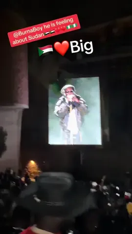 #fyp #foryou #@BurnaBoysenging about 🇸🇩 Sudan💔