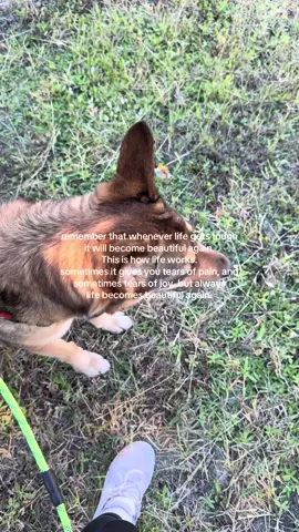 Life becomes beautiful again #fyp #viral #growth #healing 