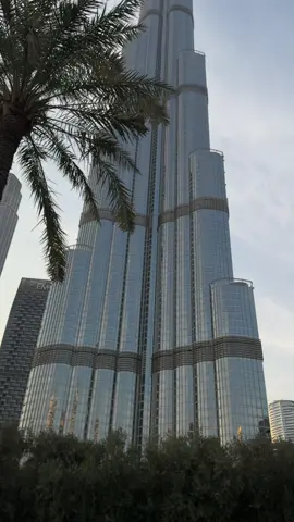 Dubaiholic) #rek #trending #mylife #ilovetiktok 