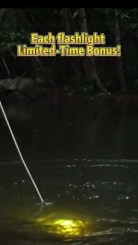 #flashlight #outdoorfun #gardenlights #tiktokshopblackfriday #tiktokshop 