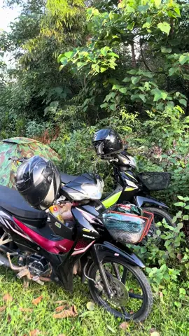 Visiting #แม่ฮ่องสอน #เทรนวันนี้ #ရောက်ချင်တဲ့နေရာရောက်👌 #🥹 