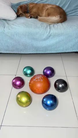 ASMR mini balloon 🎈 pop 