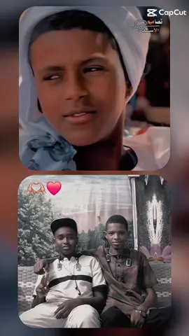 #مشاهير التك توك  #الشعب الصيني ماله حال 😂😂