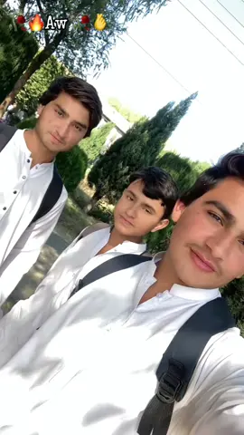 @پختون🔥 @ihsanktk80 @✈️Hameed ✈️ @💪×͜×ساقی┊جانان♡💪 